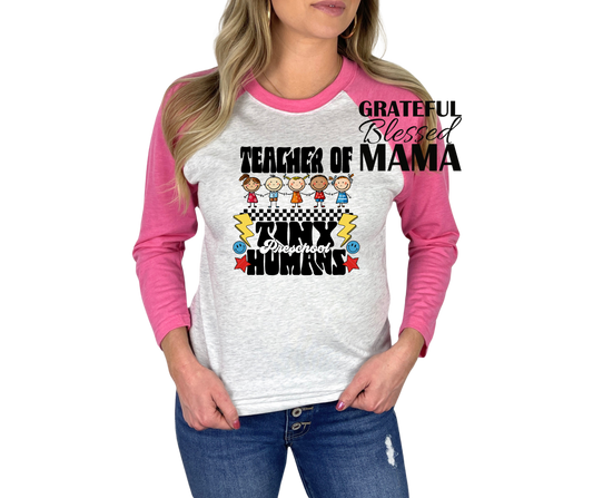 Teacher of Tiny Humans Preschool