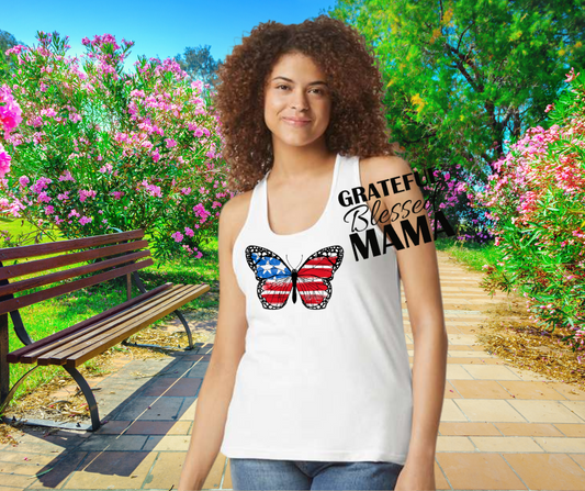 American Flag Butterfly
